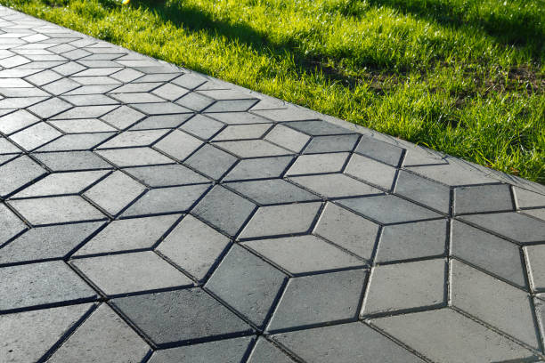 Best Professional Driveway Pavers  in Avalon, CA