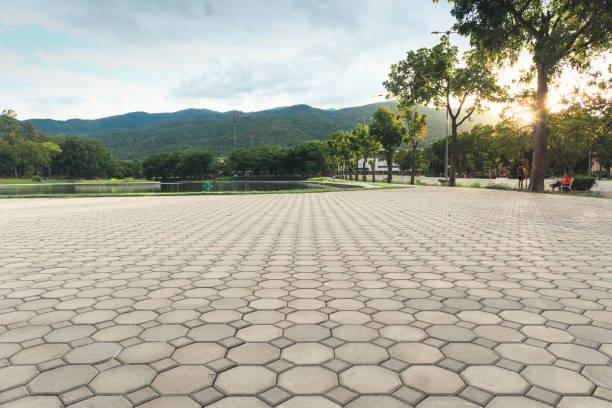 Best Local Driveway Pavers  in Avalon, CA