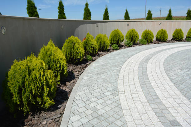Driveway Repair Near Me in Avalon, CA